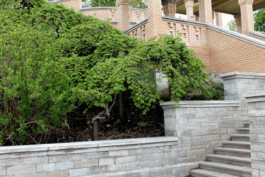 Similar image 2853111