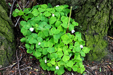 Similar image 2853112