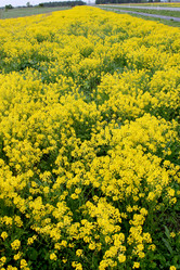 Similar image 2853132