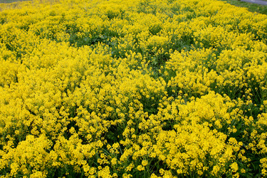 Similar image 2853133