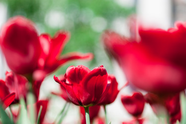 Similar image 2853171