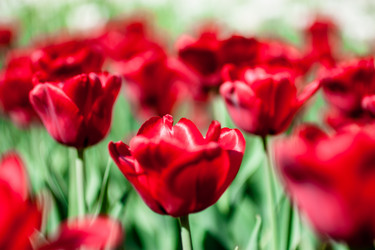 Similar image 2853175