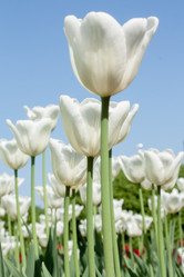 Similar image 2853177