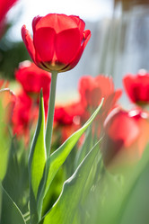 Similar image 2853178