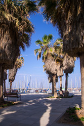 Similar image 2853187