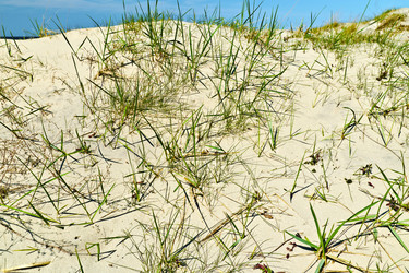 Similar image 2853220