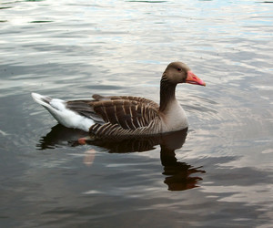 Similar image 2853317