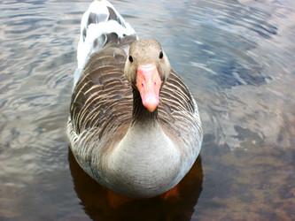 Similar image 2853318