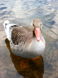 Similar image 2853319