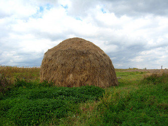 Similar image 2853334