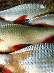 Similar image 2853404