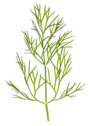 Similar image 2853922