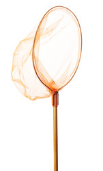 Similar image 2853925