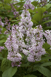 Similar image 2853977