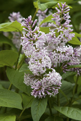 Similar image 2853978