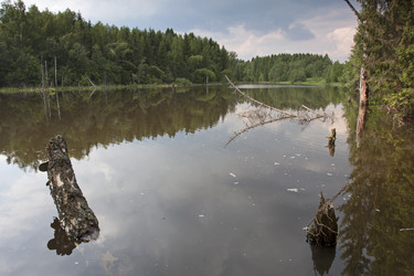 Similar image 2853980