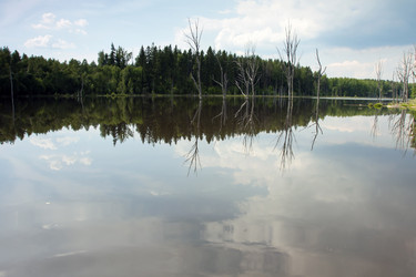 Similar image 2853982