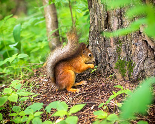 Similar image 2854035