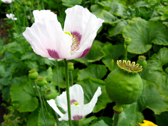 Similar image 2854056