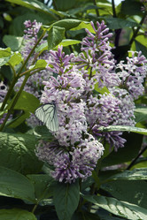 Similar image 2854167