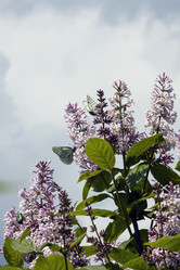 Similar image 2854169