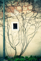 Similar image 2854172