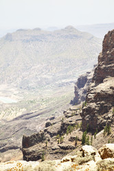 Similar image 2854174