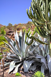 Similar image 2854175