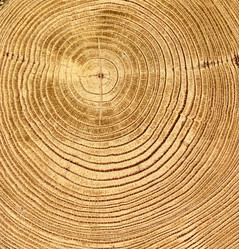 Similar image 2854185