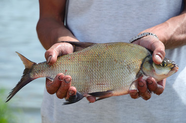 Similar image 2854190