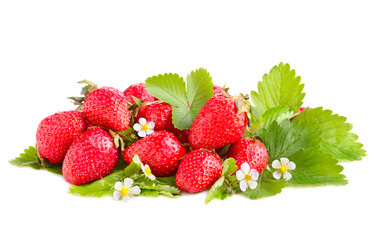 Similar image 2854206