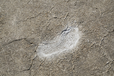 Similar image 2854216