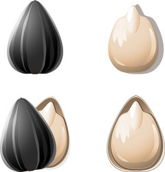 Similar image 2854263