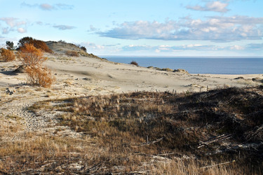 Similar image 2854302