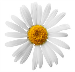 Similar image 2854308