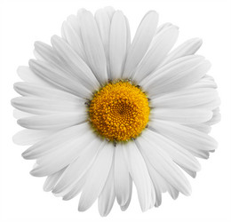 Similar image 2854310