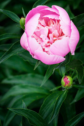 Similar image 2854317