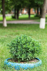 Similar image 2854319