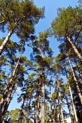 Similar image 2854372