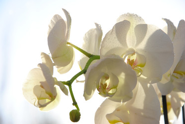 Similar image 2854398