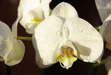 Similar image 2854402