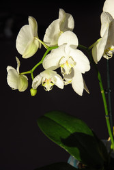 Similar image 2854404