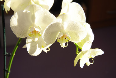 Similar image 2854405