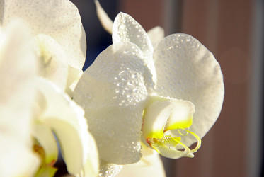 Similar image 2854408