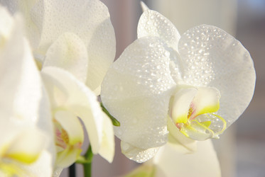 Similar image 2854410