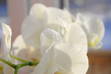 Similar image 2854412