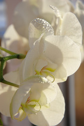 Similar image 2854413