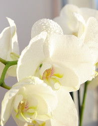 Similar image 2854415