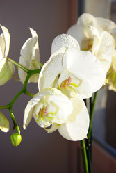 Similar image 2854416