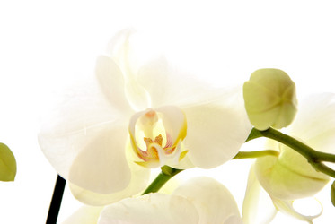 Similar image 2854424